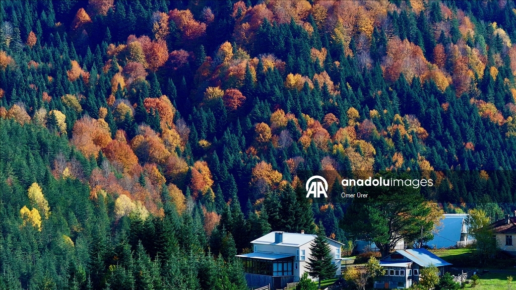 الخريف يرسم لوحته في مرتفعات دوزجة التركية