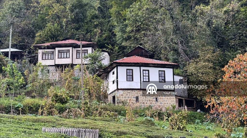 Kestane ağacından yapılan tescilli evler Arılı köyüne ziyaretçi çekiyor