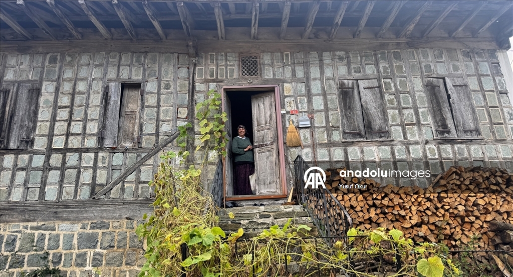 Kestane ağacından yapılan tescilli evler Arılı köyüne ziyaretçi çekiyor