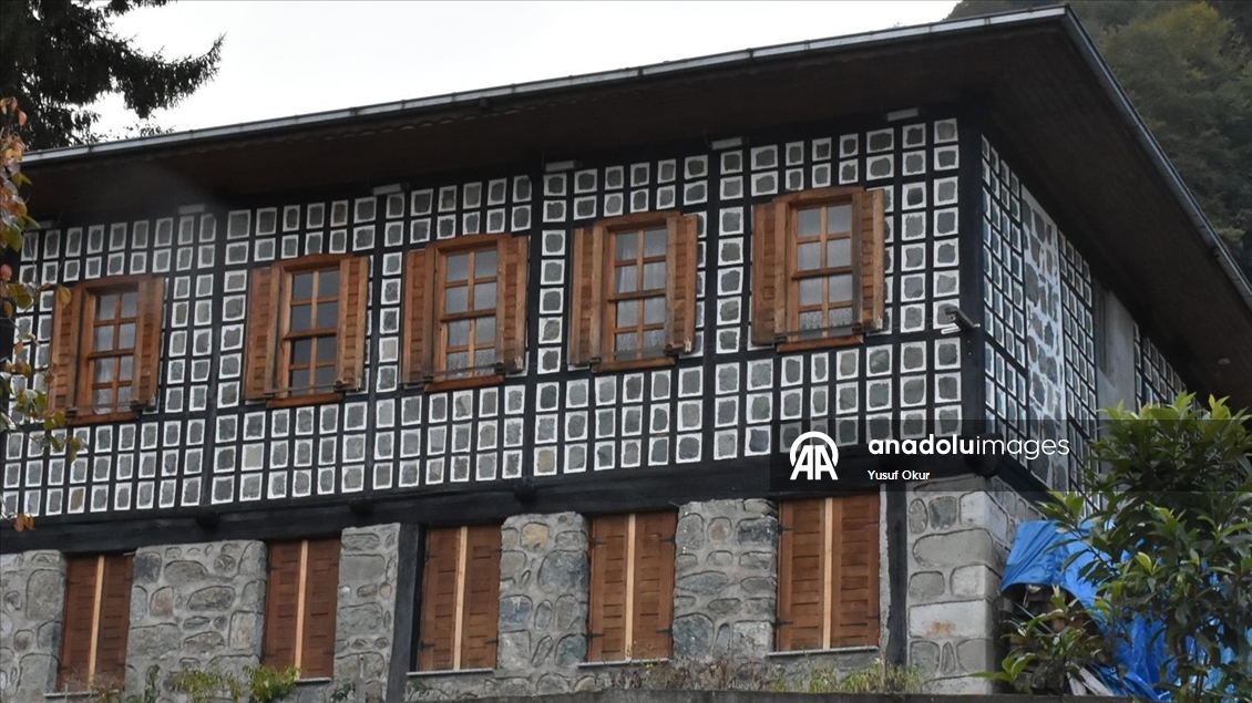 Kestane ağacından yapılan tescilli evler Arılı köyüne ziyaretçi çekiyor