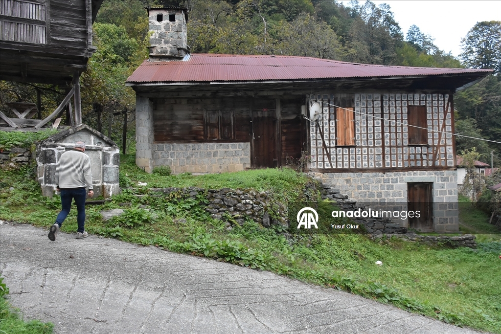 Kestane ağacından yapılan tescilli evler Arılı köyüne ziyaretçi çekiyor