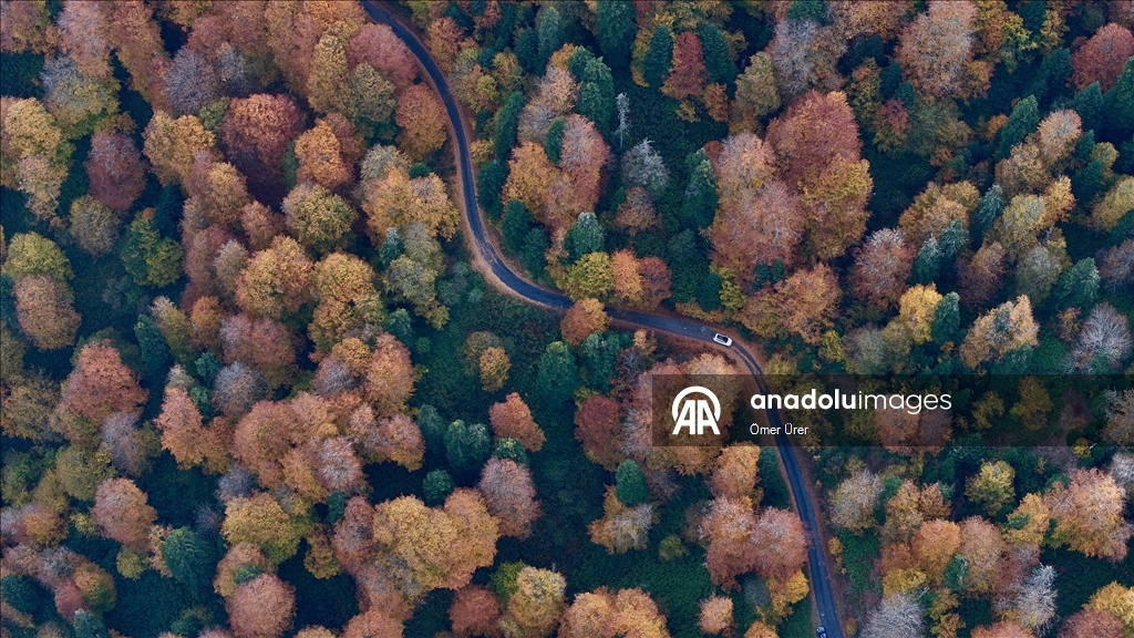 الخريف يرسم لوحته في مرتفعات دوزجة التركية