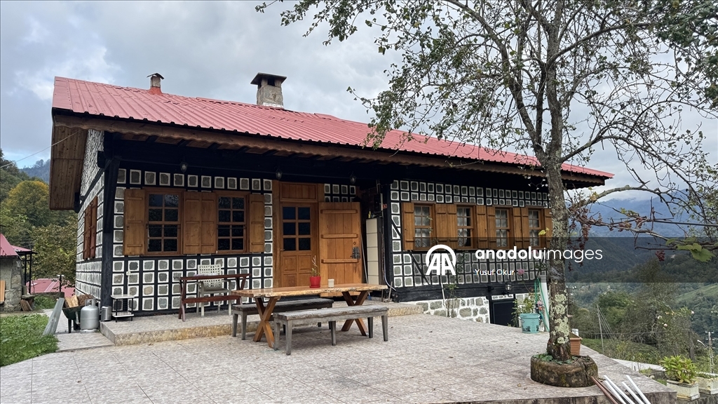 Kestane ağacından yapılan tescilli evler Arılı köyüne ziyaretçi çekiyor