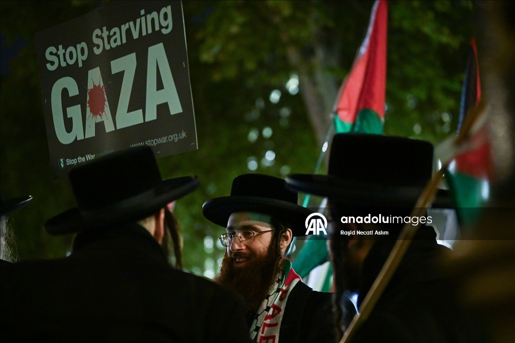 В Лондоне прошла акция против израильских атак на Газу