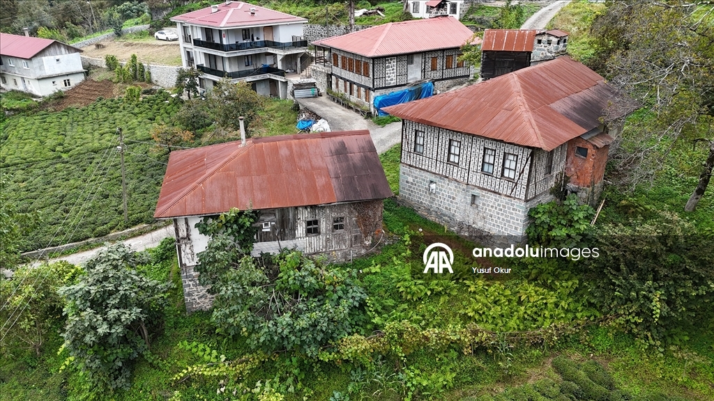 Kestane ağacından yapılan tescilli evler Arılı köyüne ziyaretçi çekiyor
