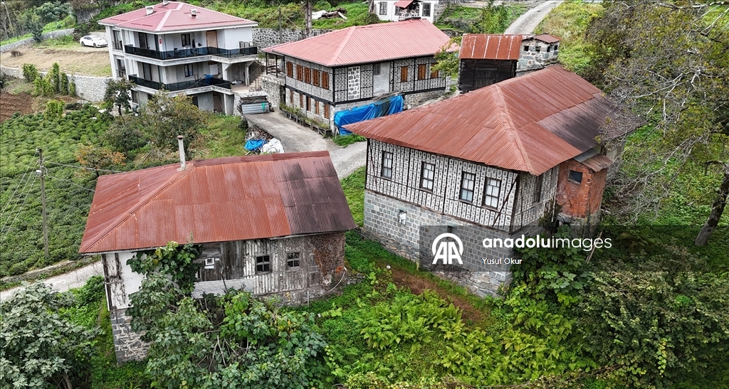 Kestane ağacından yapılan tescilli evler Arılı köyüne ziyaretçi çekiyor