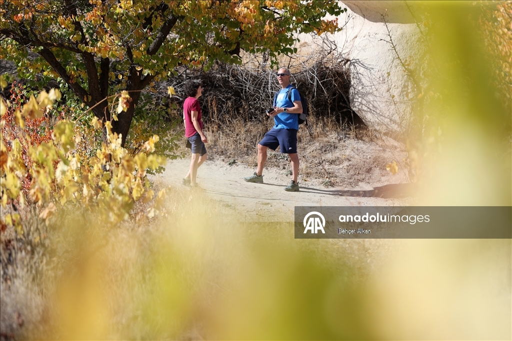 كبادوكيا التركية تستقبل زوارها بألوان "الخريف الذهبي"