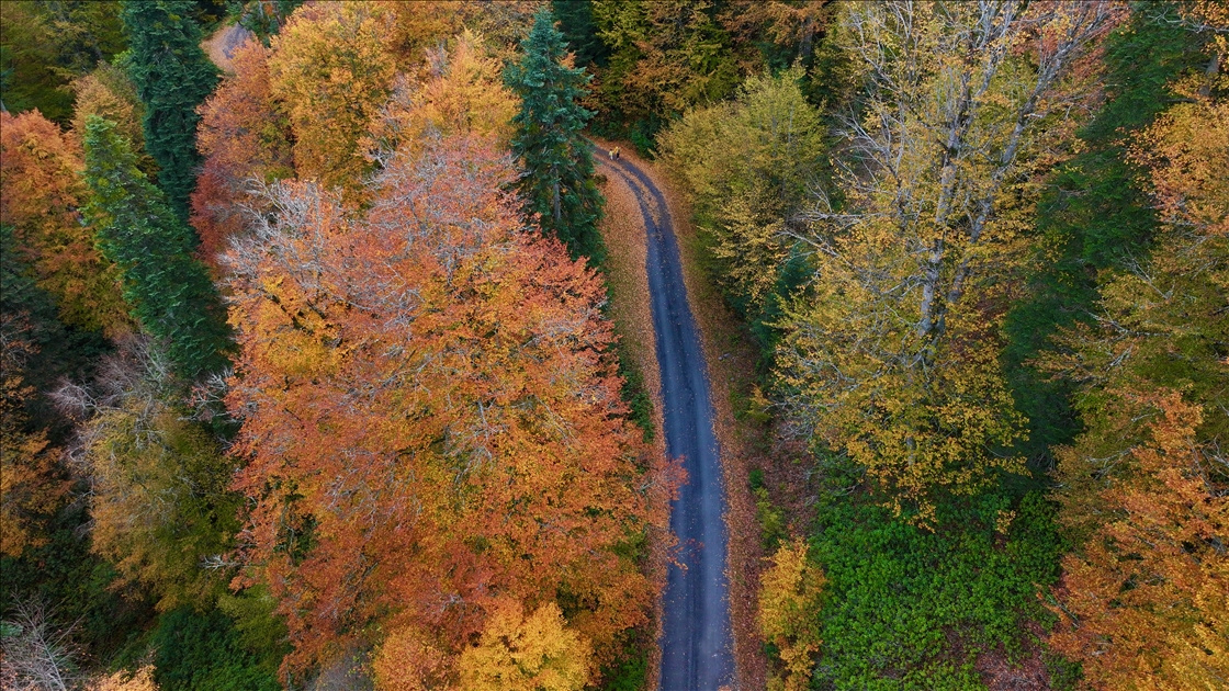 الخريف يرسم لوحته في مرتفعات دوزجة التركية