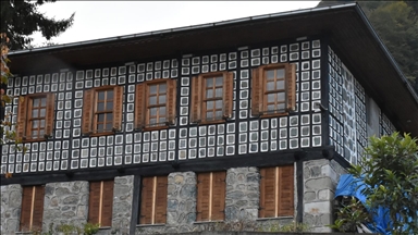 Kestane ağacından yapılan tescilli evler Arılı köyüne ziyaretçi çekiyor