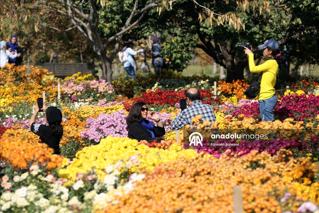 İran’da 9. Krizantem Festivali