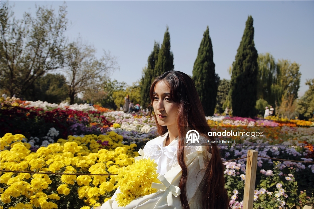 İran’da 9. Krizantem Festivali