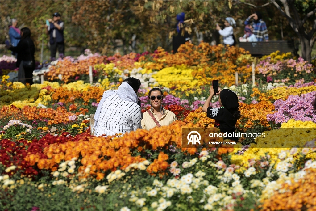 İran’da 9. Krizantem Festivali