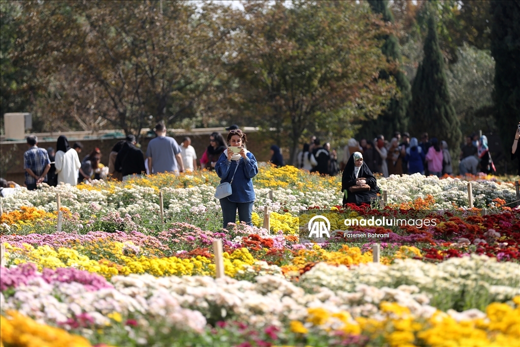 İran’da 9. Krizantem Festivali