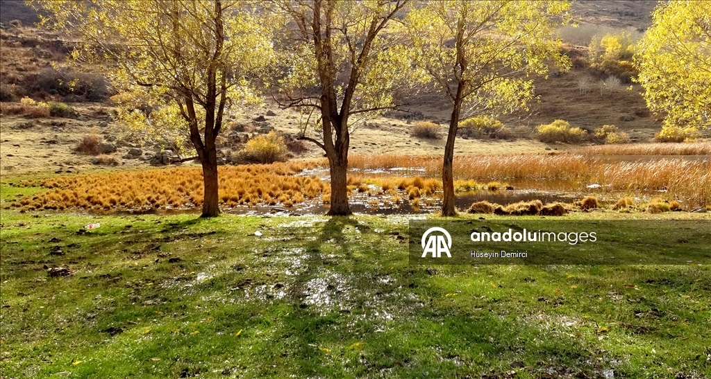 Kars'ta sonbaharın son güzellikleri yaşanıyor