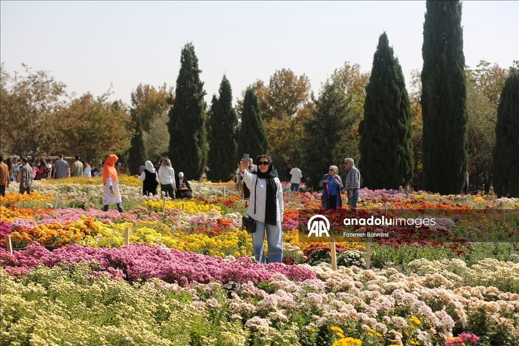 İran’da 9. Krizantem Festivali