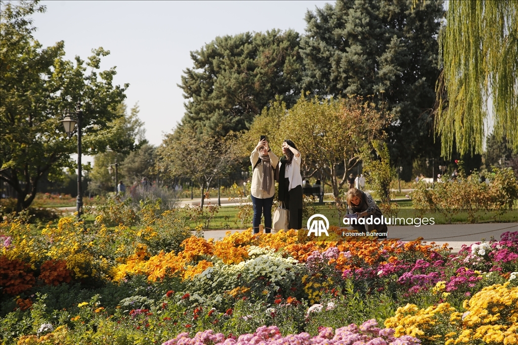 İran’da 9. Krizantem Festivali