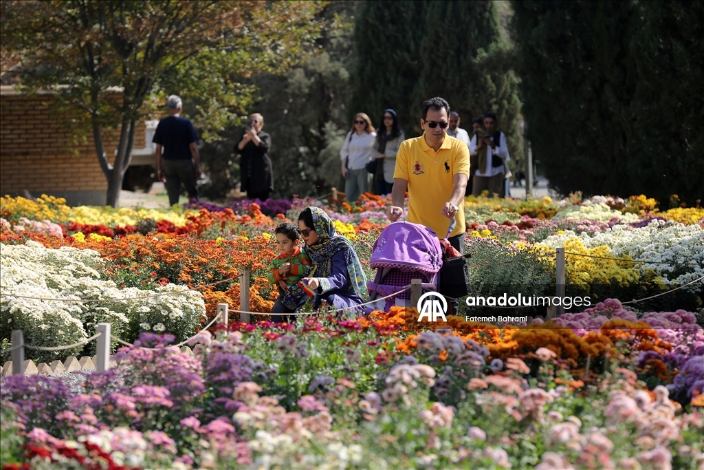 İran’da 9. Krizantem Festivali