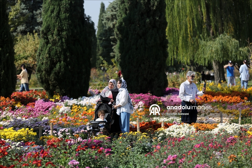İran’da 9. Krizantem Festivali