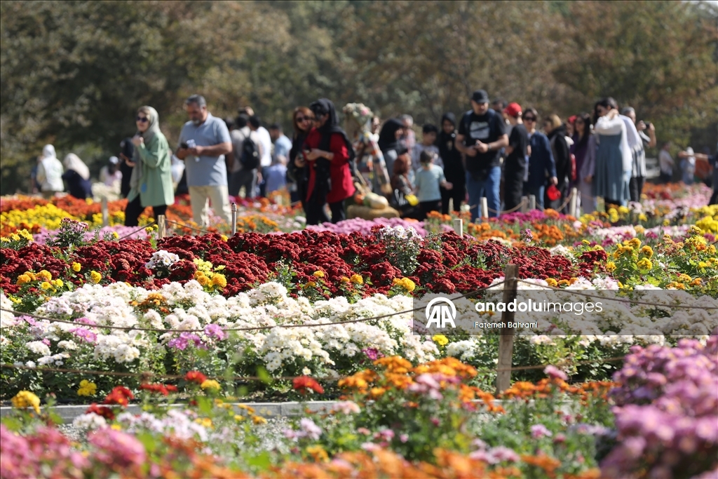 İran’da 9. Krizantem Festivali