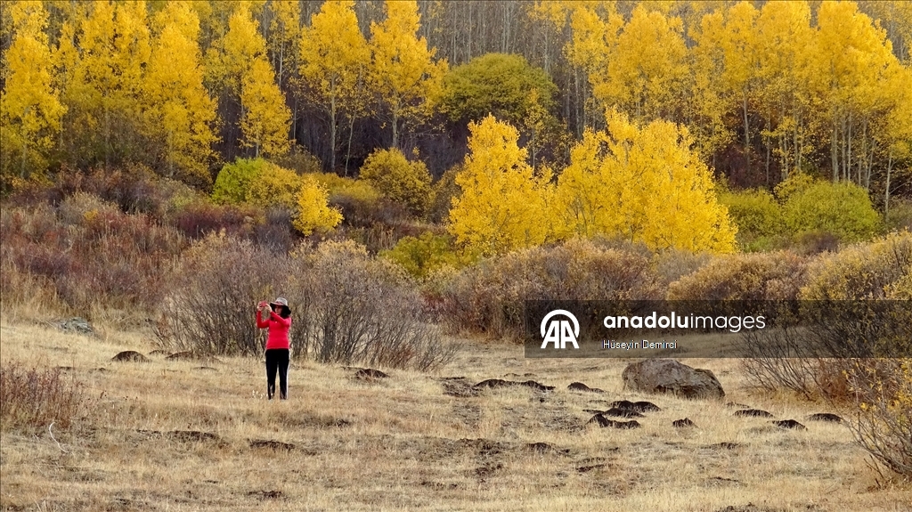 Kars'ta sonbaharın son güzellikleri yaşanıyor