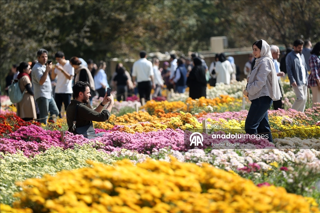 İran’da 9. Krizantem Festivali