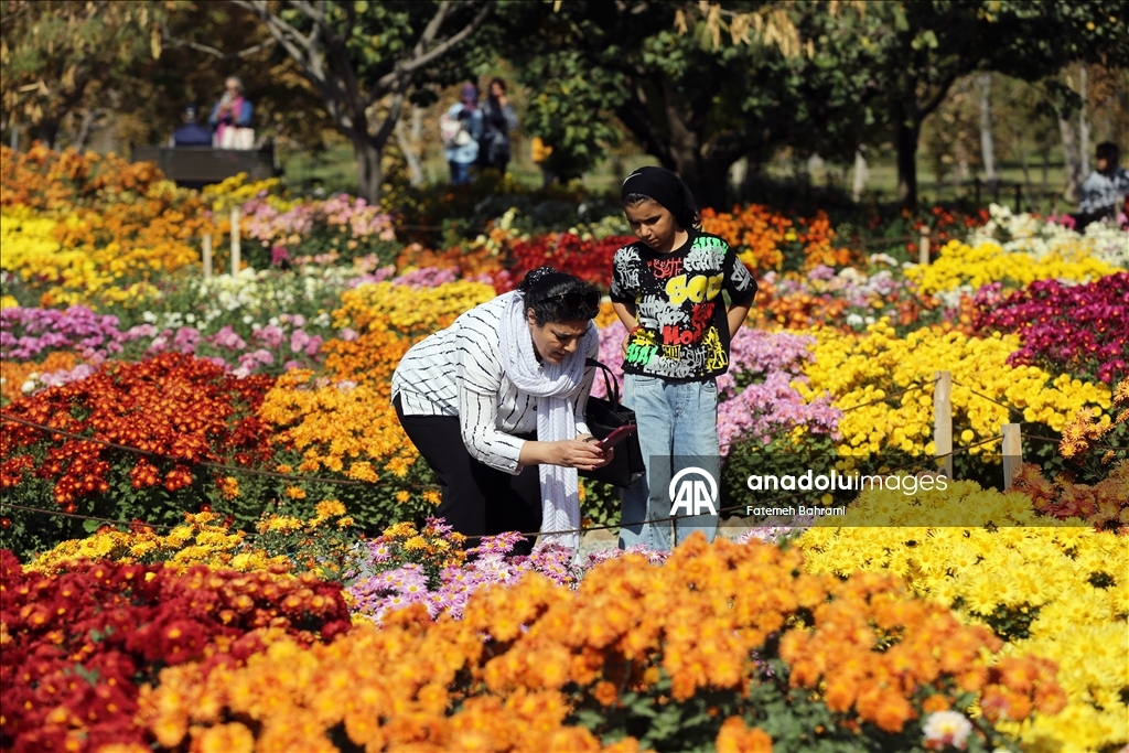 İran’da 9. Krizantem Festivali