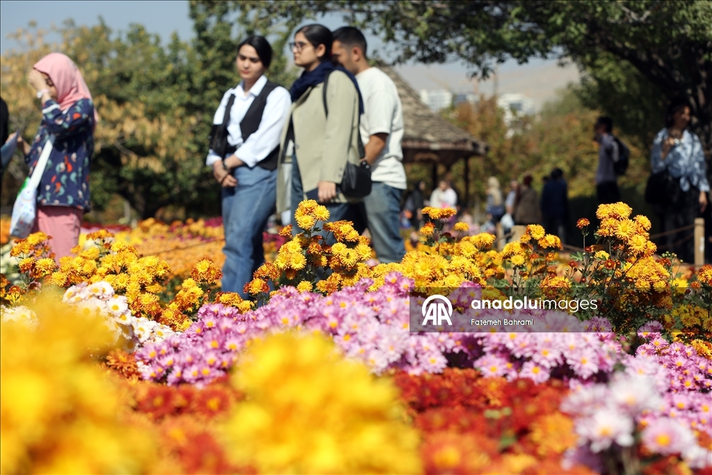 İran’da 9. Krizantem Festivali