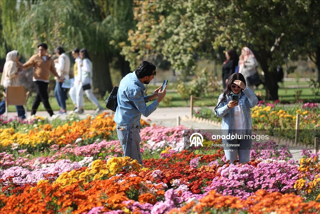 İran’da 9. Krizantem Festivali