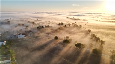 Tekirdağ'da sis etkili oldu