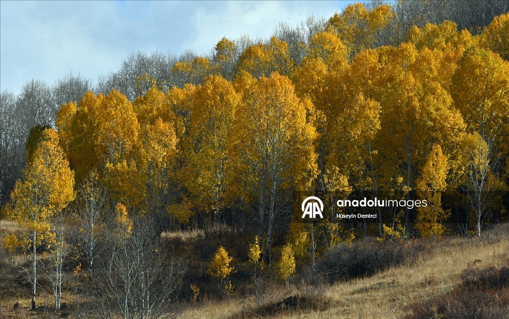 Последние краски осени в Карсе