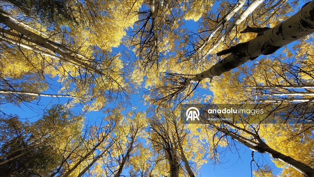 Последние краски осени в Карсе