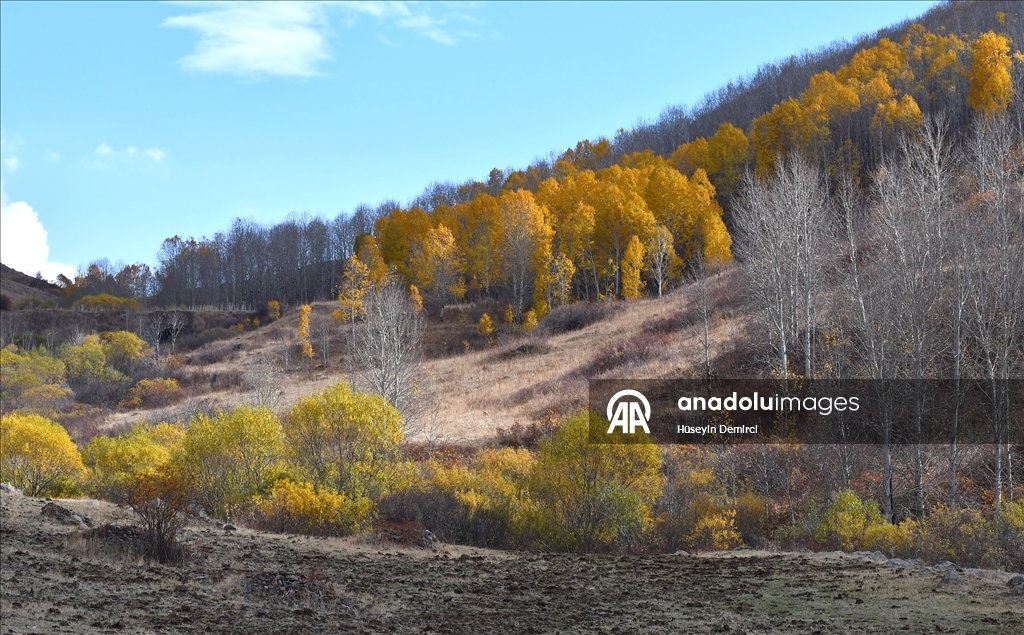 Последние краски осени в Карсе