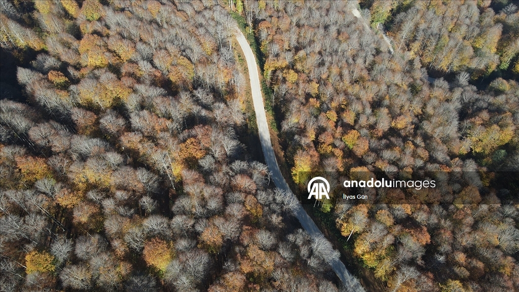 Samsun'daki Nebiyan Dağı sonbahar renklerine büründü