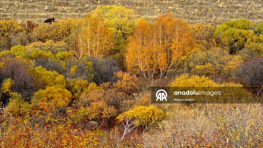 Последние краски осени в Карсе