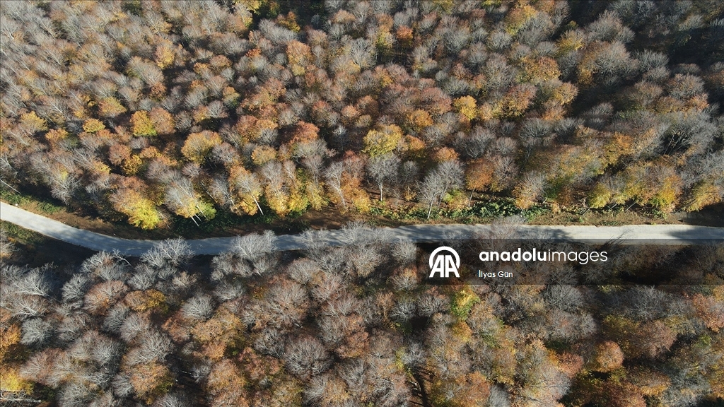 Samsun'daki Nebiyan Dağı sonbahar renklerine büründü