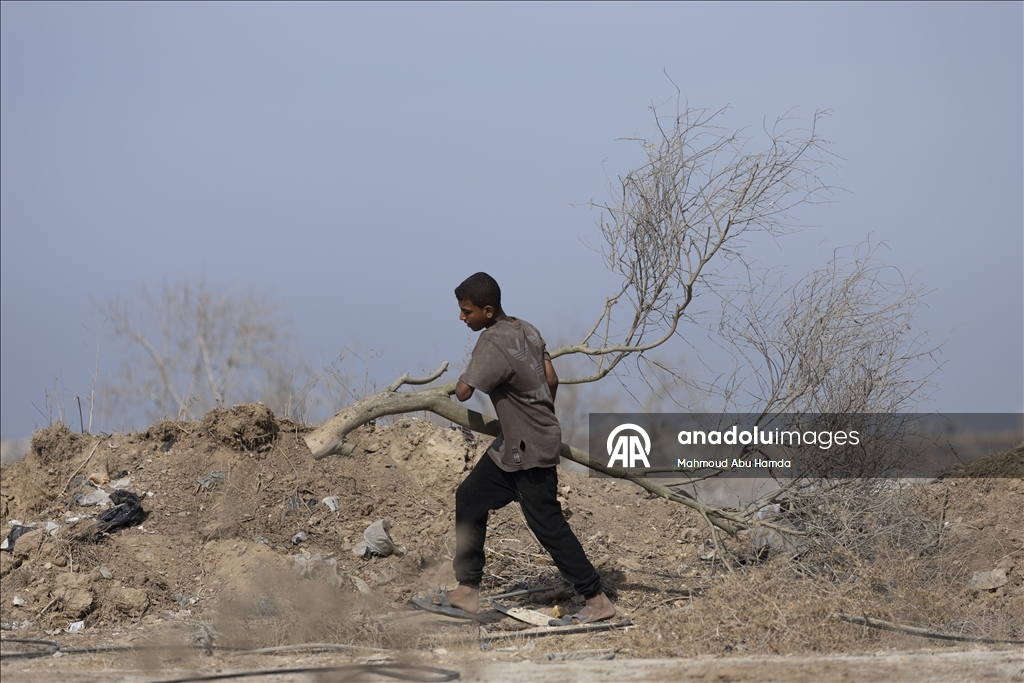 Ateşkesin ardından Gazze'de günlük yaşam