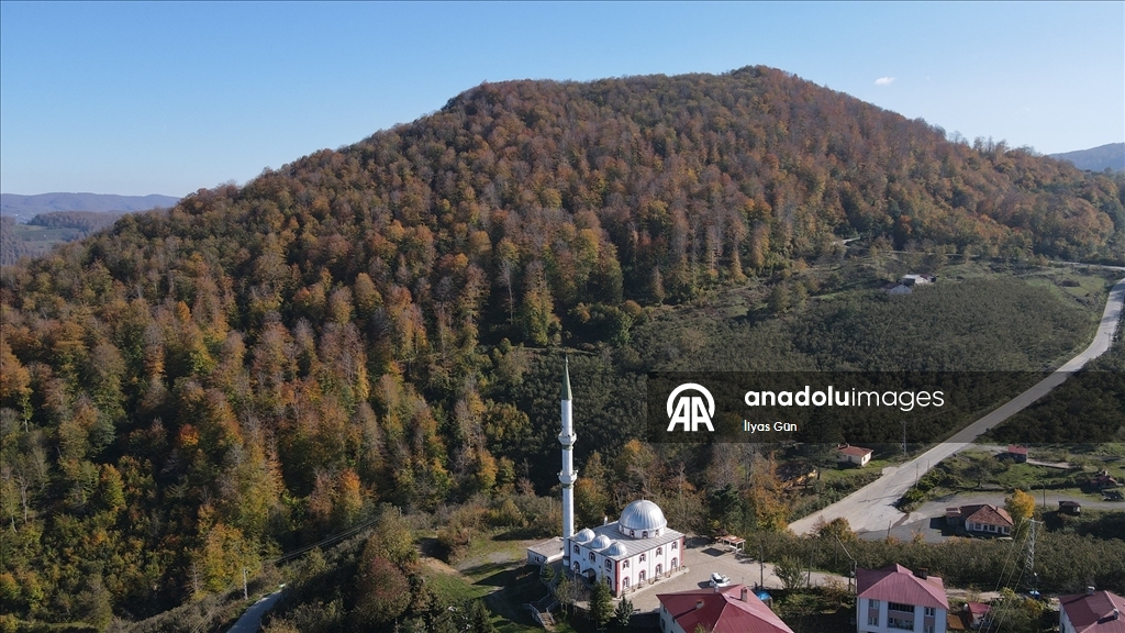 Samsun'daki Nebiyan Dağı sonbahar renklerine büründü