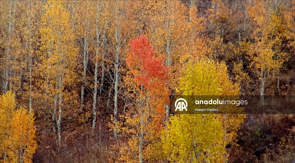 Последние краски осени в Карсе