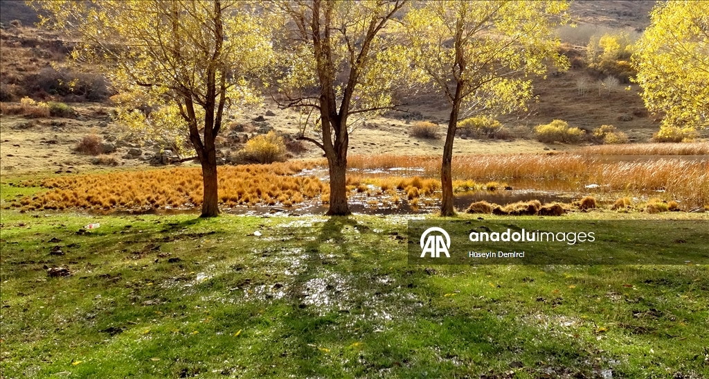 Последние краски осени в Карсе