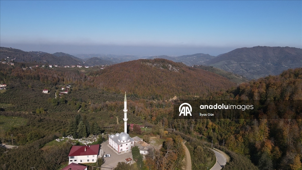 Samsun'daki Nebiyan Dağı sonbahar renklerine büründü