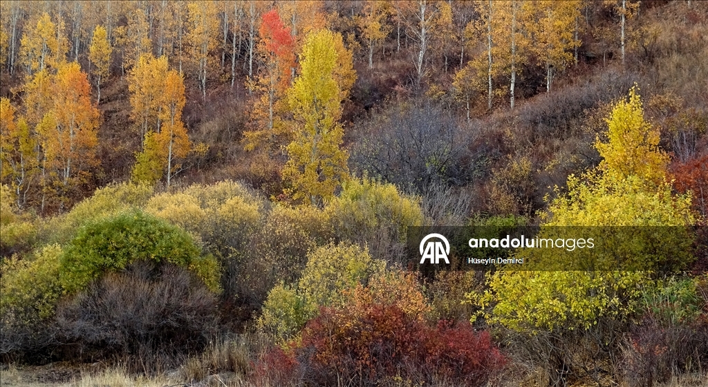 Последние краски осени в Карсе