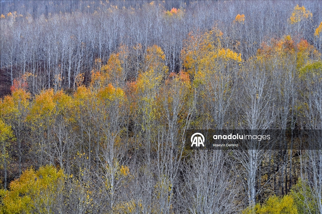 Последние краски осени в Карсе