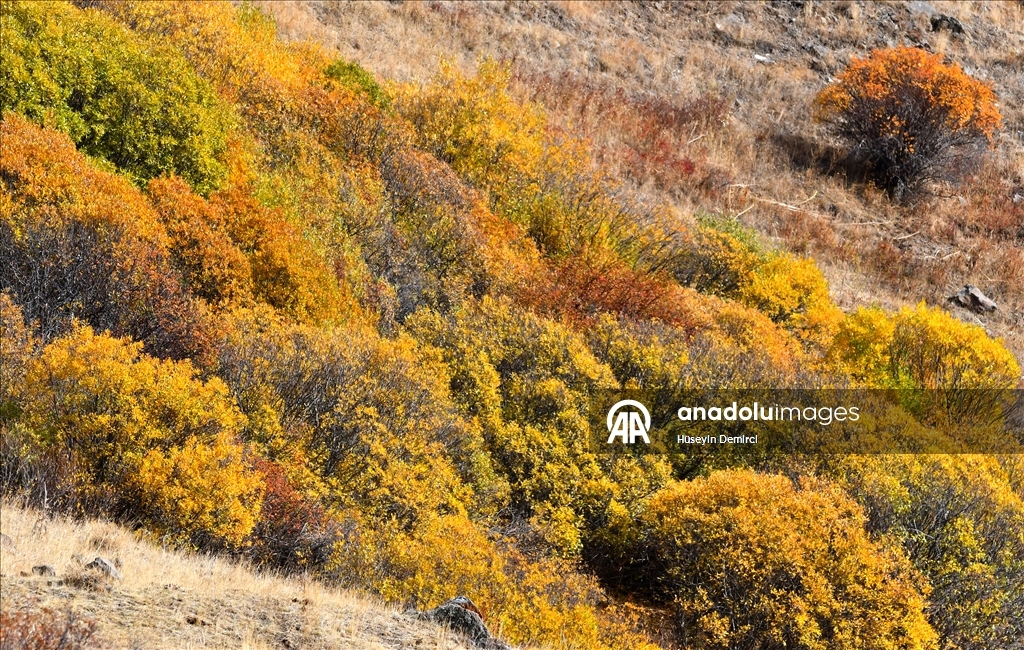 Последние краски осени в Карсе