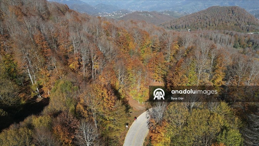 Samsun'daki Nebiyan Dağı sonbahar renklerine büründü