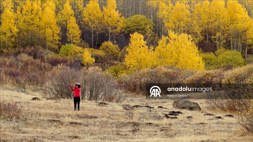 Последние краски осени в Карсе