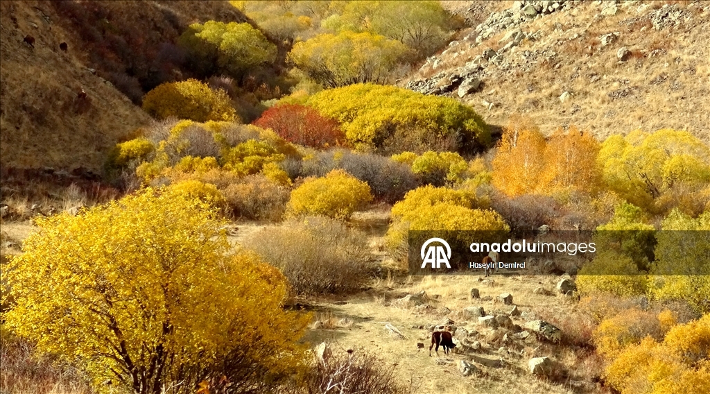 Последние краски осени в Карсе