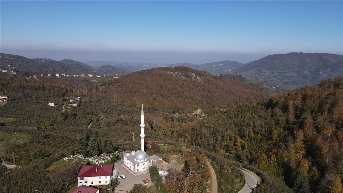 Samsun'daki Nebiyan Dağı sonbahar renklerine büründü