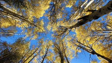 Последние краски осени в Карсе