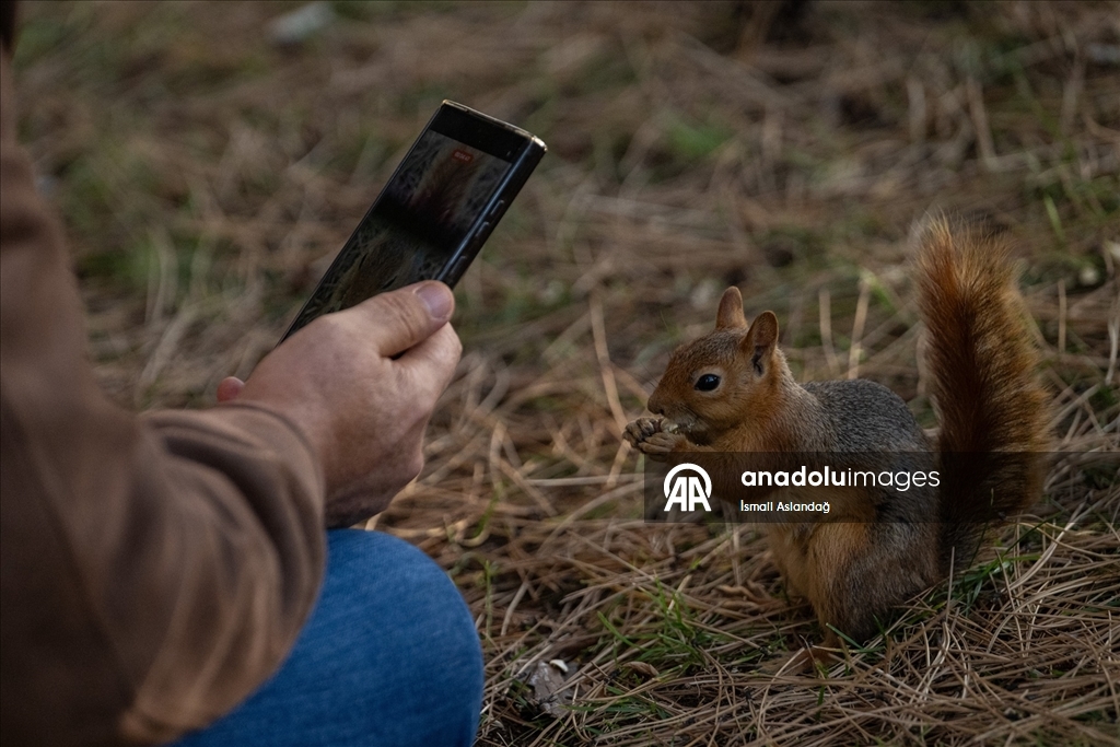 Seğmenler Parkı'nın sevimli sakinleri