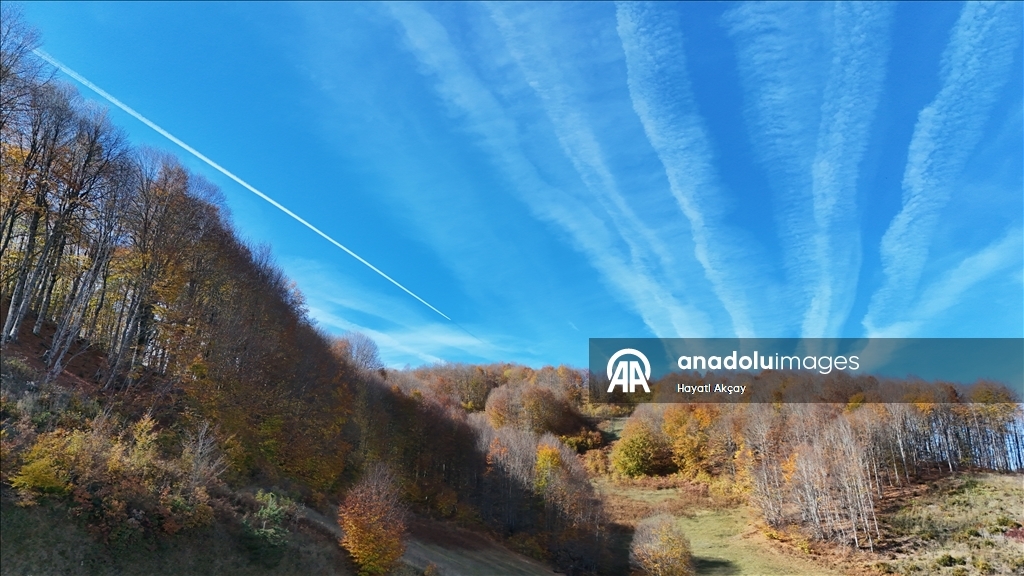 Autumn season in Turkiye's Ordu